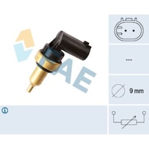 FAE 32706 HARARET MÜŞÜRÜ BM 04-
