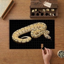Desenli Kraliyet Pitonu Tasarımı 240 Parça Ahşap Puzzle Ahşap Kutuda Mpy60205