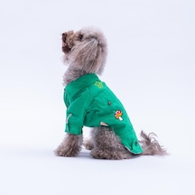 Yeşil Cancun - Cancún Ceket Gabardin Çıtçıtlı Kedi Köpek Ceketi Kedi Köpek Kıyafeti Kedi Köpek Elbisesi