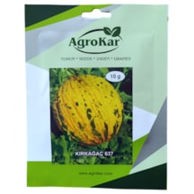 Kırkağaç Kavun Tohumu 10 Gr 1 Paket
