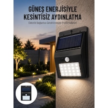 Çok Renkli