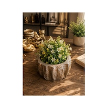 Dekoratif Gold Saksı 13x7 Cm Polyester Taş Görünümlü Kaktüs Sukulent Çiçek Saksısı Gümüş