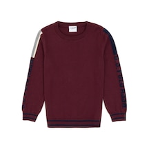 U.s. Polo Assn. Erkek Çocuk Plum Kazak /triko 50317136-vr177 New Plum