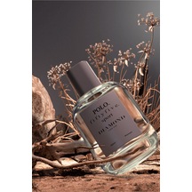 Baharat - Çiçeksi - Meyve