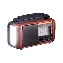 G-Technology DEX-1448 Güneş Enerjili Şarjlı Radyo