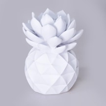 Selim Dekor Echeveria Dekoratif Aksesuar Beyaz