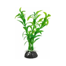 Zeytin Dalı Zeytin Dalı Diğer