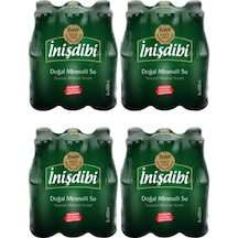 Freşa İnişdibi Doğal Maden Suyu 24 x 200 ML