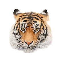 Kaplan Aile Araba Oto Sticker Yapıştırma Etiket 17Cm H2