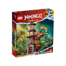 LEGO® Ninjago Serisi 71795 Ejderha Tapınağı Enerji Çekirdekleri
