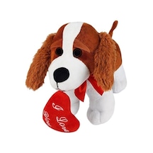Halley 20 Cm Kalpli Köpek