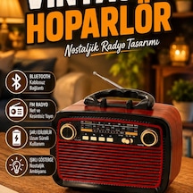 Vintage Ahşap Görünümlü Bluetooth Hoparlör Işıklı Nostaljik Fm Radyo