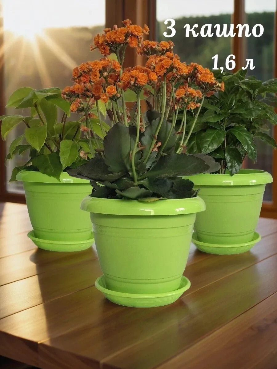 5plast 3'lü Sırp Etkin Ayçiçeği Bitki Saksısı 447554424