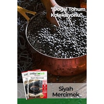 500 Adet Siyah Mercimek Tohumu