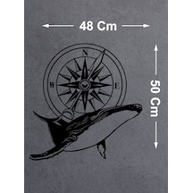 30 Cm