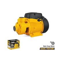 Sgs5380 Periferik Su Pompası 370 Watt 0.5 Hp 38 Metre Bakır Sargı