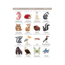 1 Sayfa Çıkartmalarla İngilizce Keşfi Hayvanlar Temalı Eğitici Sticker Sayfası 12 17 Cm Diğer