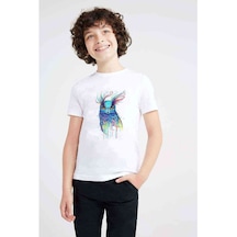 Watercolor Owl 2 Baskılı Unisex Çocuk Beyaz T-Shirt