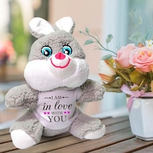 Sana Aşığım Temalı Sevgili Peluş Tavşan Hk2456