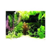 Kanki Pet Kp5540036 Akvaryum Arka Fon Yapıştırma 55 X 40 Cm