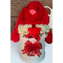 Özel Kutuda, Aşk Temalı Peluş Hediye Kutusu Kırmızı Jellycat Tavşan & 5 Mini Ayıcık Özel Tasarım