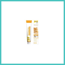 Gimcat Multi Vitamin Kedi Macunu 100 Gr Nyjoybz
