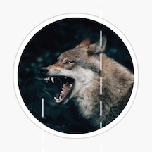 Öfkeli Kızgın Kurt Araba Sticker Oto Yapıştırması 18Cm M2