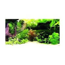 Kanki Pet Kp10552036 Akvaryum Arka Fon Yapıştırma 105 X 52 Cm