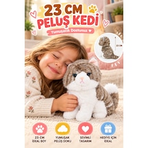 23 Cm Gri Peluş Kedi Oyuncak Yumuşak Sevimli Kedi Figürlü Çocuk Oyuncağı Doğum Günü Hediyesi Seti Çok Renkli