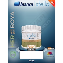 Stella 2024 Renk Yeni Su Bazlı Boyalar 500ml Diğer