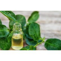Egeden Her Yere Defne Yaprağı Yağı 10 ML Egeden Her Yere Defne Yaprağı Yağı 10 ML