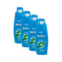 Blendax Saç Dökülmelerine Karşı Isırgan Özlü Şampuan 4 x 500 ML