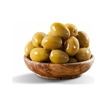 Tüplü Büyük Meyveli Domat Zeytin Fidanı