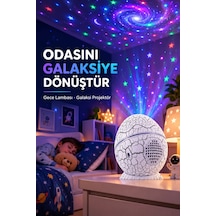 Dinozor Yumurtası Galaksi Projektör Gece Lambası 4'ü 1 Arada Bluetooth Hoparlörlü Antrasit Melanj