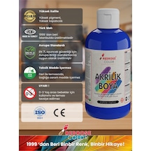 Red Rose Yeşil-mavi-kırmızı Akrilik Boya 3'lü Set 3 x 250 G