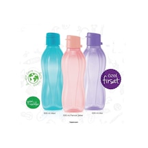 Eco Şişe Suluk Kolay Kapak 500 Ml 3 Lü Mavi Mor Pembe