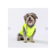 Stupid Yeşil Nakışlı Şirin Köpek Kıyafeti
