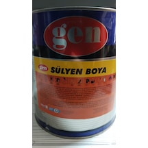 Gen Sülyen Boya 3Kg