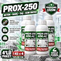 Prox -250 4'lü Harç-taş-kum-beton Eritici Lavabo Açıcı 1 Kg