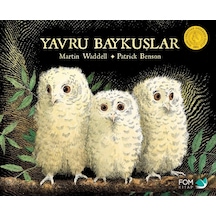 Yavru Baykuşlar