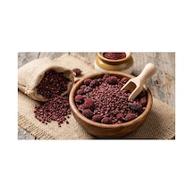 Sumak Tane Rhus Coriaria 100 Gram - 938187957