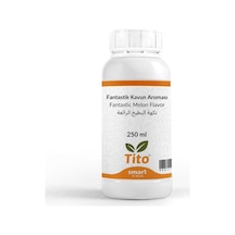 Fantastik Kavun Aroması 250 Ml