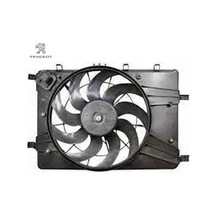 Fan Motoru Peugeot 1253.r4