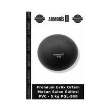 Premium Evlik Ortam Mekan Salon Güllesi Pvc - 5 Kg Pgl-500