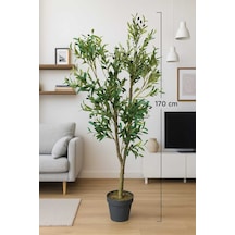 Yapay Zeytin Ağacı 170 Cm Boyunda Dekoratif Modern İç Mekan Salon Ofis Bitkisi Çok Renkli