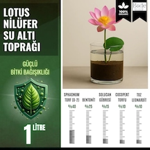 Lotus Çiçeği Nilüfer İçin Su Altı Torf Karışımı Toprağı 1 Lt Toprak - 1 Adet Lotus Tohumu H 0.15 KG