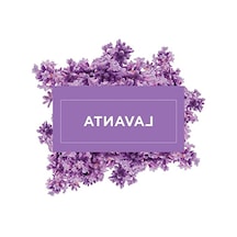 Lavanta Kokulu Yüzey Temizleyici, 1000 Ml İle Etkili Arındırma