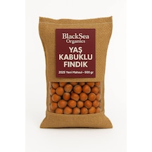 500 G
