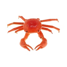 Suntek Son Derece Simüle Kil Böcekler Rastgele Renkli Hayvanlar