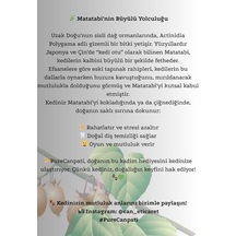 %100 Doğal Matatabi Çubukları Kediler İçin Catnip Alternatifi, Azaltıcı & Diş Temizleyici Çiğneme Oyuncağı 3 Lü Paket